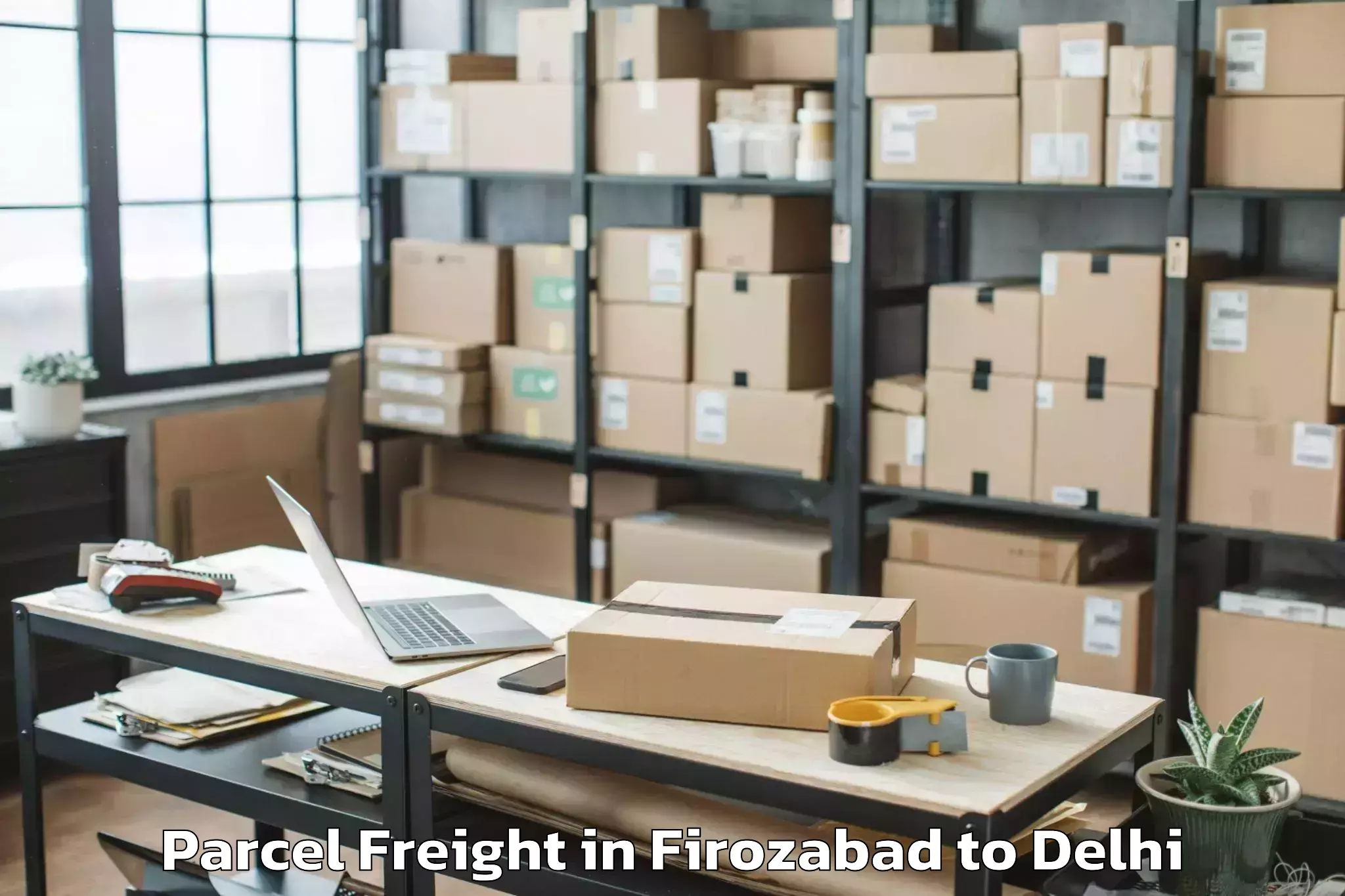 Professional Firozabad to Ramesh Nagar Parcel Freight